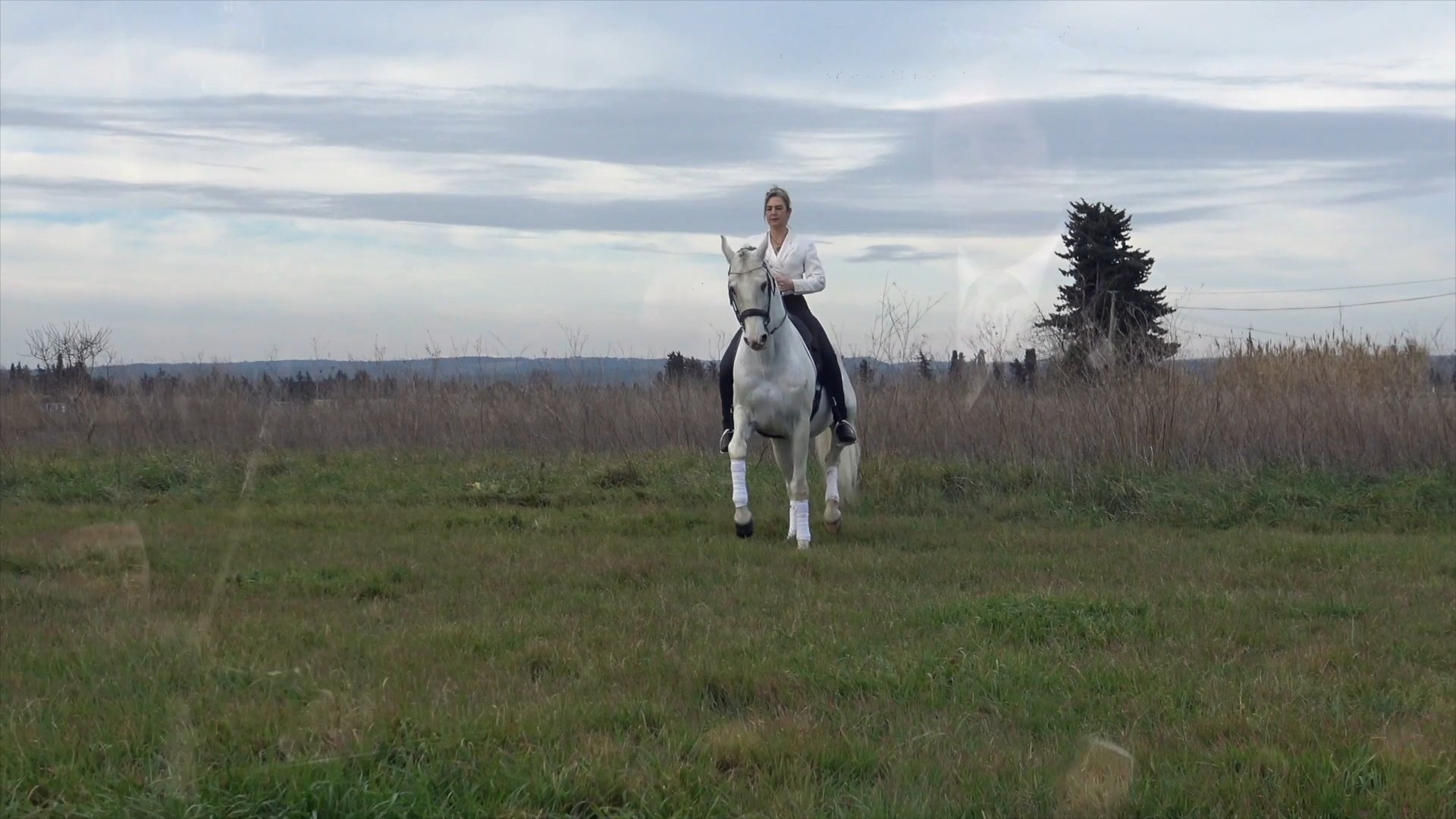 Bonne Annee 25 Marche de Radjesky 