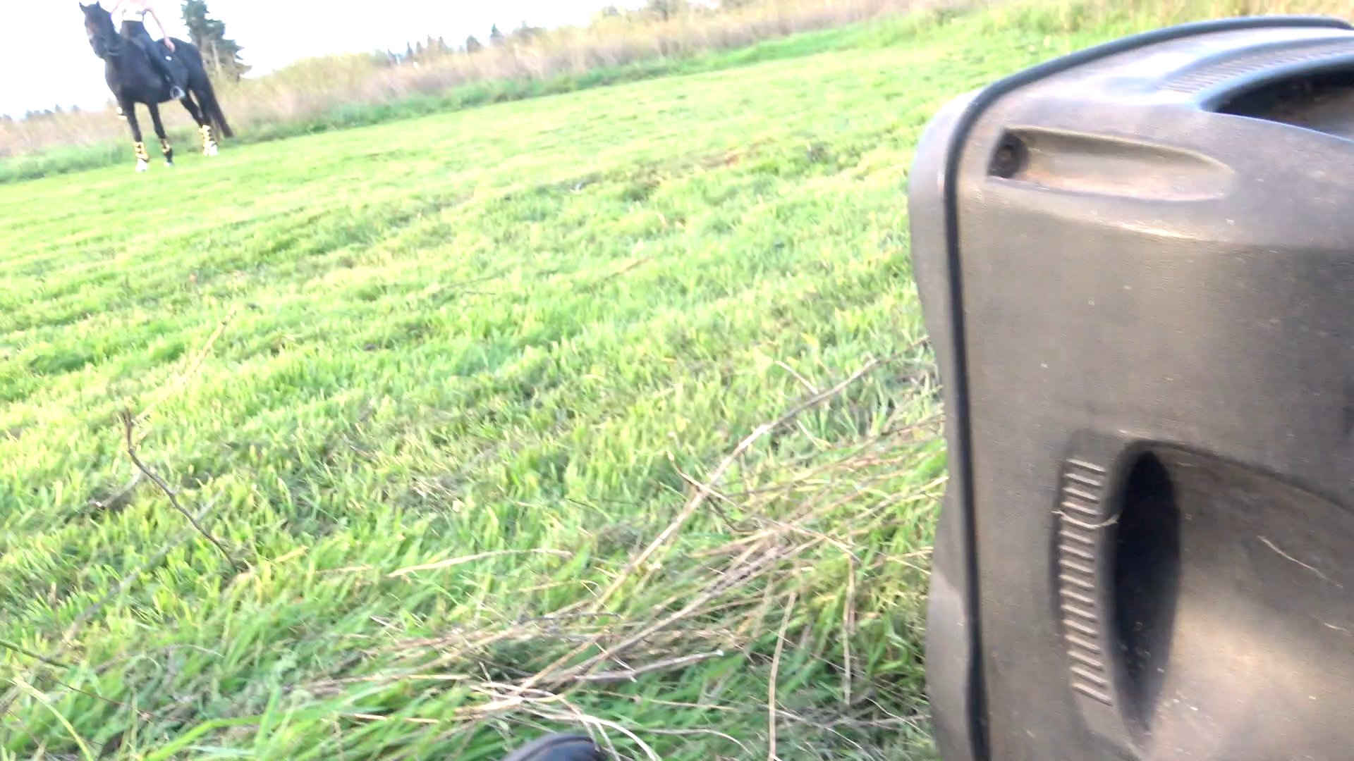 Jenny - Voila - Barbara pravi - 21oct24 