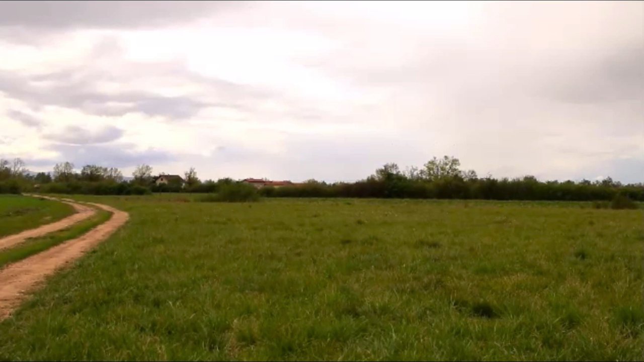 Caroline - Ed Sheeran - Shape of You 2019 