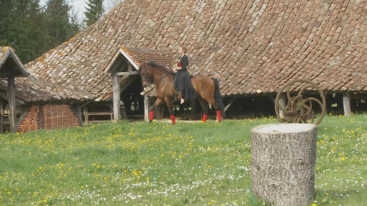 Christelle - mon printemps en hiver rouge 
