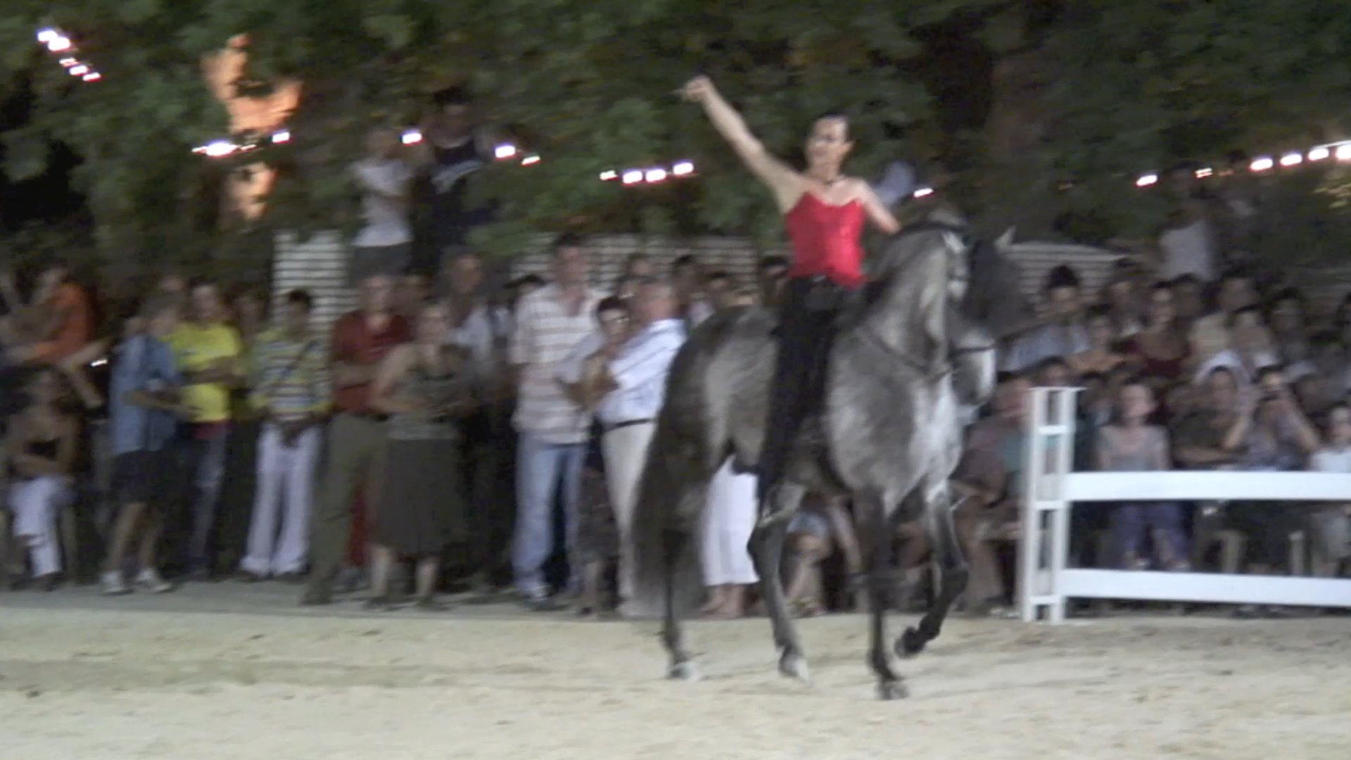 Jenny - Beaucaire Championnat de France des Lusitaniens 2006 
