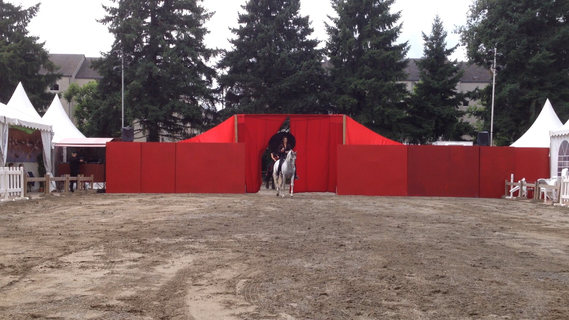 Jenny - Singing in the rain 