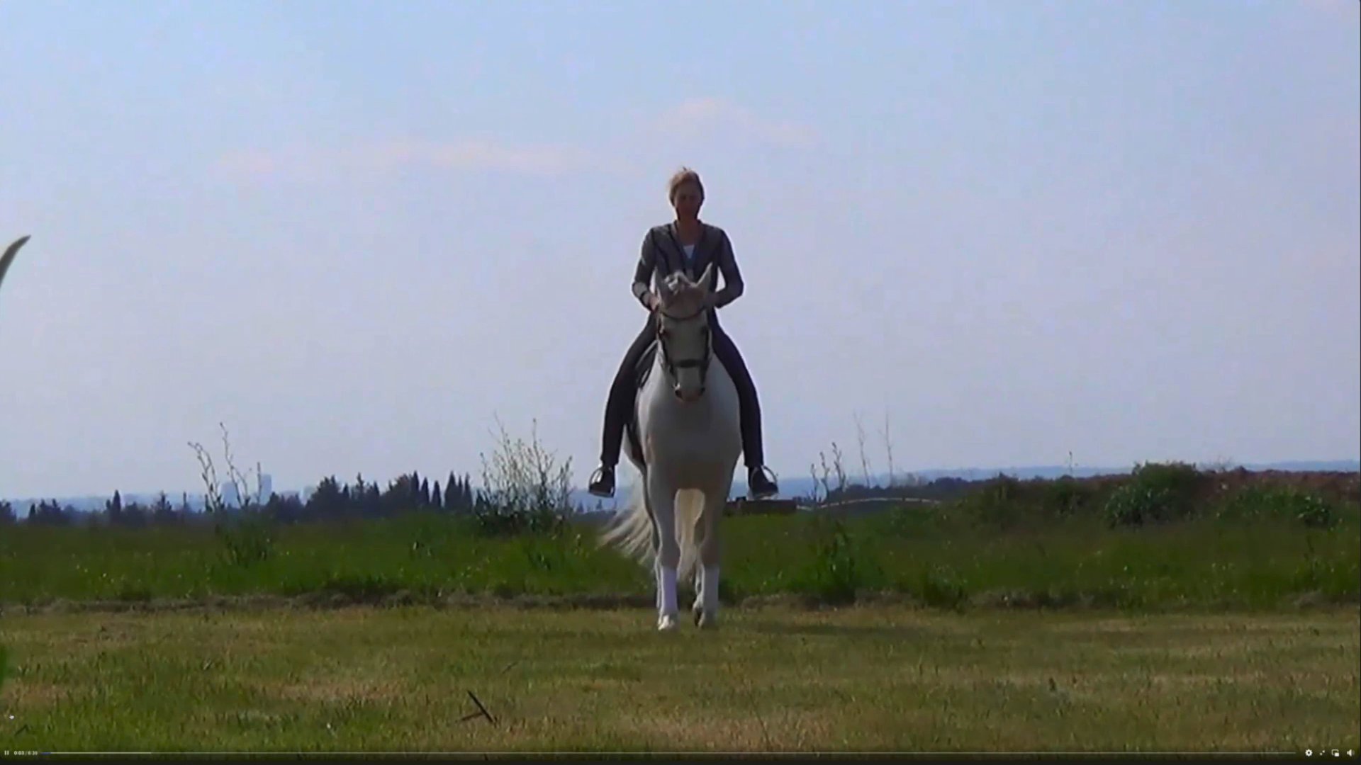 Jenny - Mickael Jackson - Jenny & Abanico 