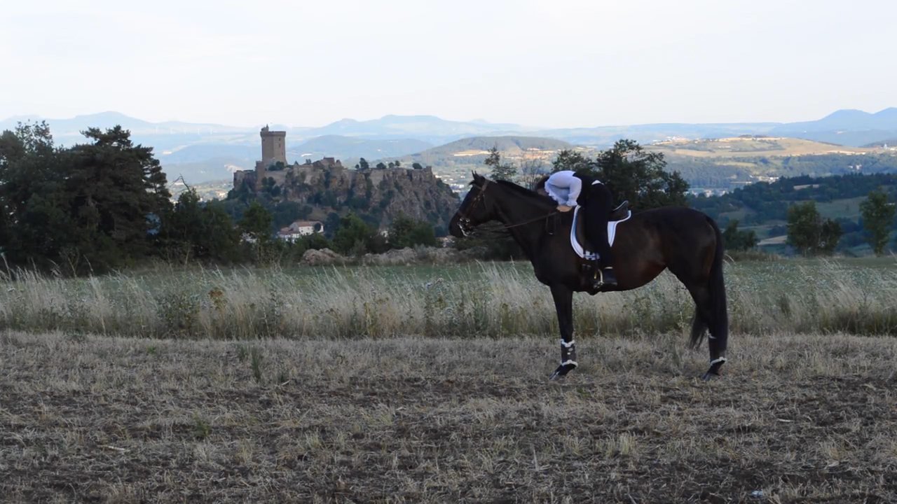 Justine - Céline Dion - Let’s talk about love 