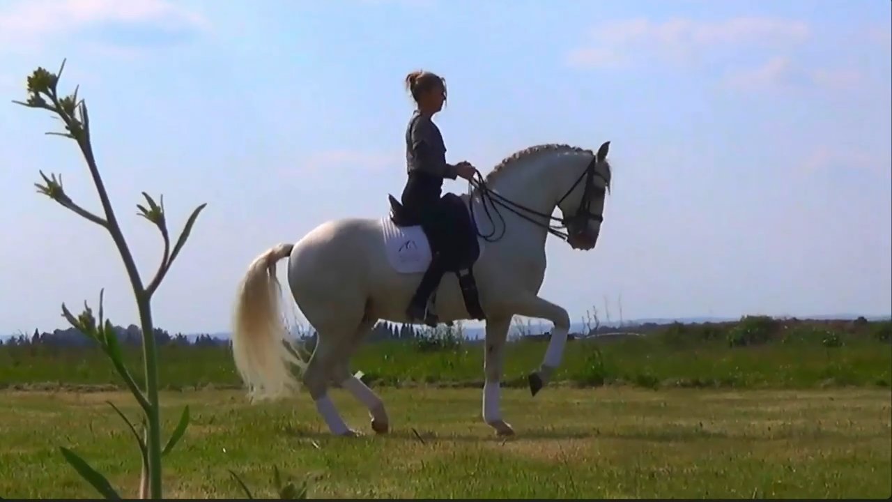 Jenny - Mickael Jackson - Jenny & Abanico 