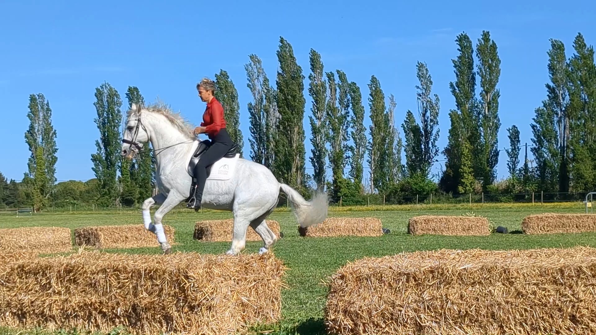 Jenny - Asso des Sports Equestre de Marguerittes 2024 