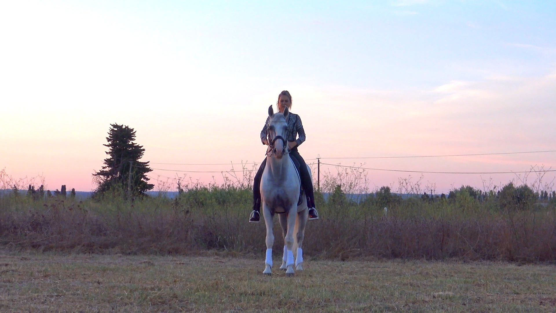 Jenny - Alors on danse - Stromae 