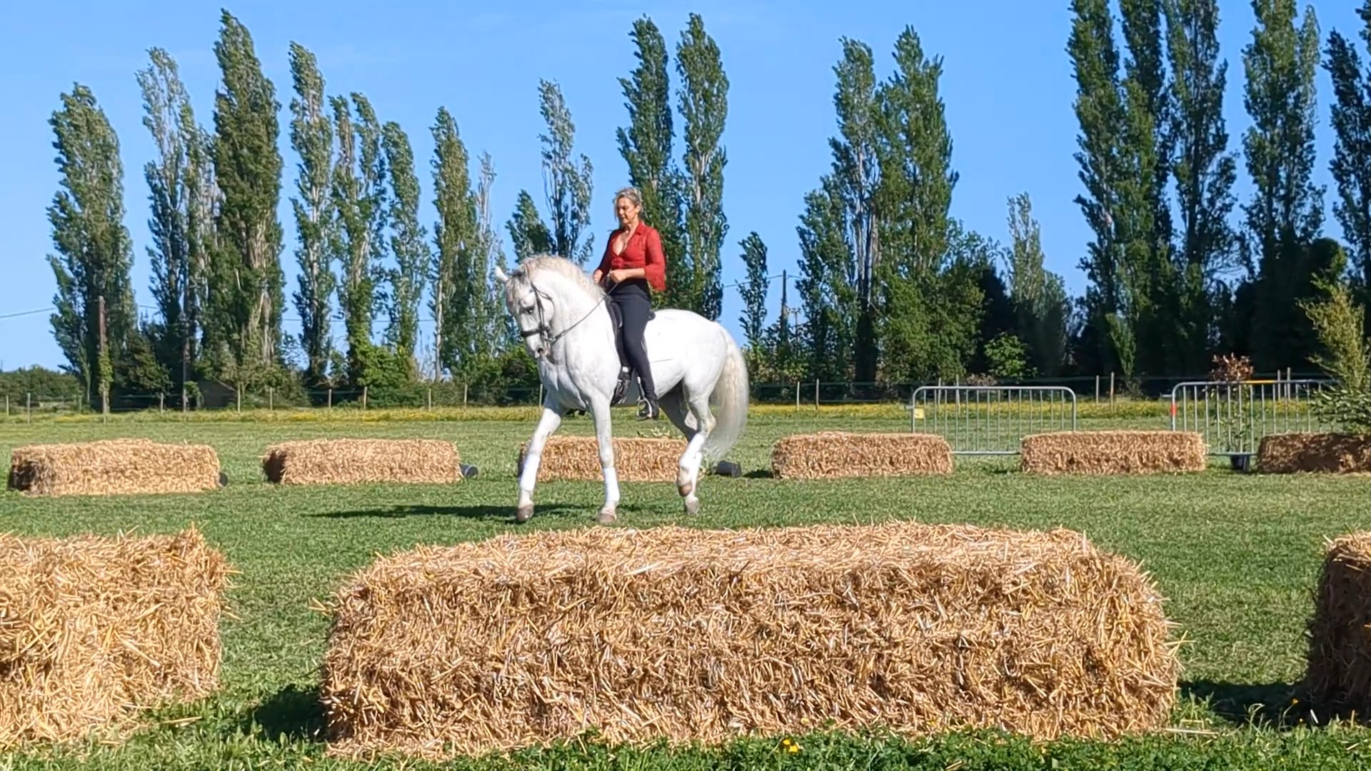 Jenny - Asso des Sports Equestre de Marguerittes 2024 