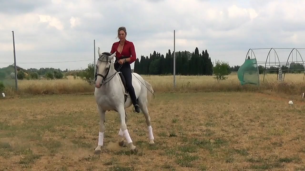 Jenny - John Powell - Assassin's Tango 