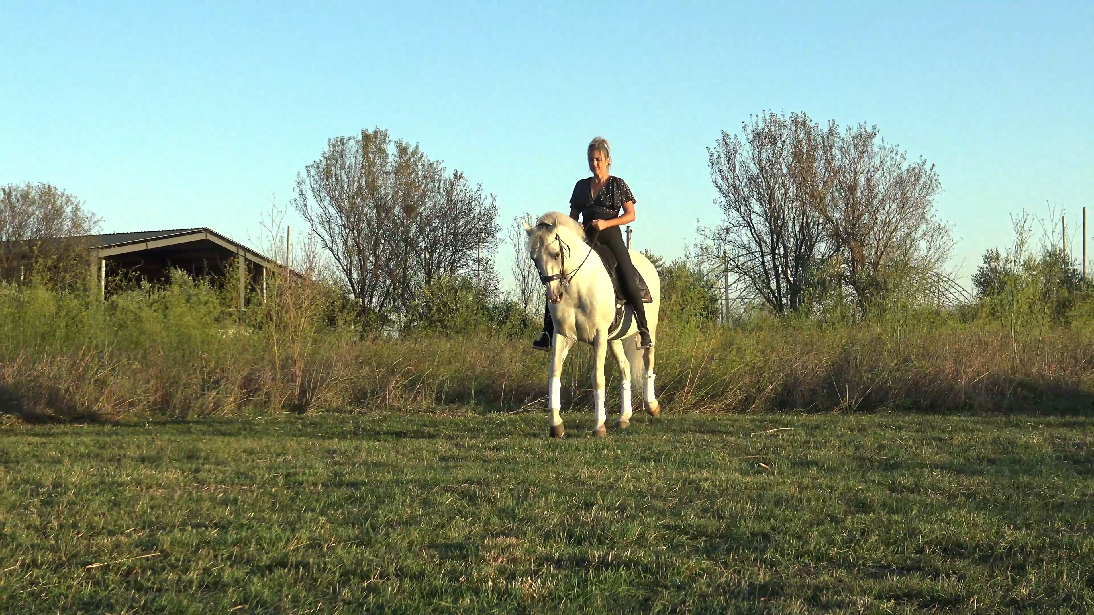 Jenny - Lady Gaga - Always Remember Us This Way 