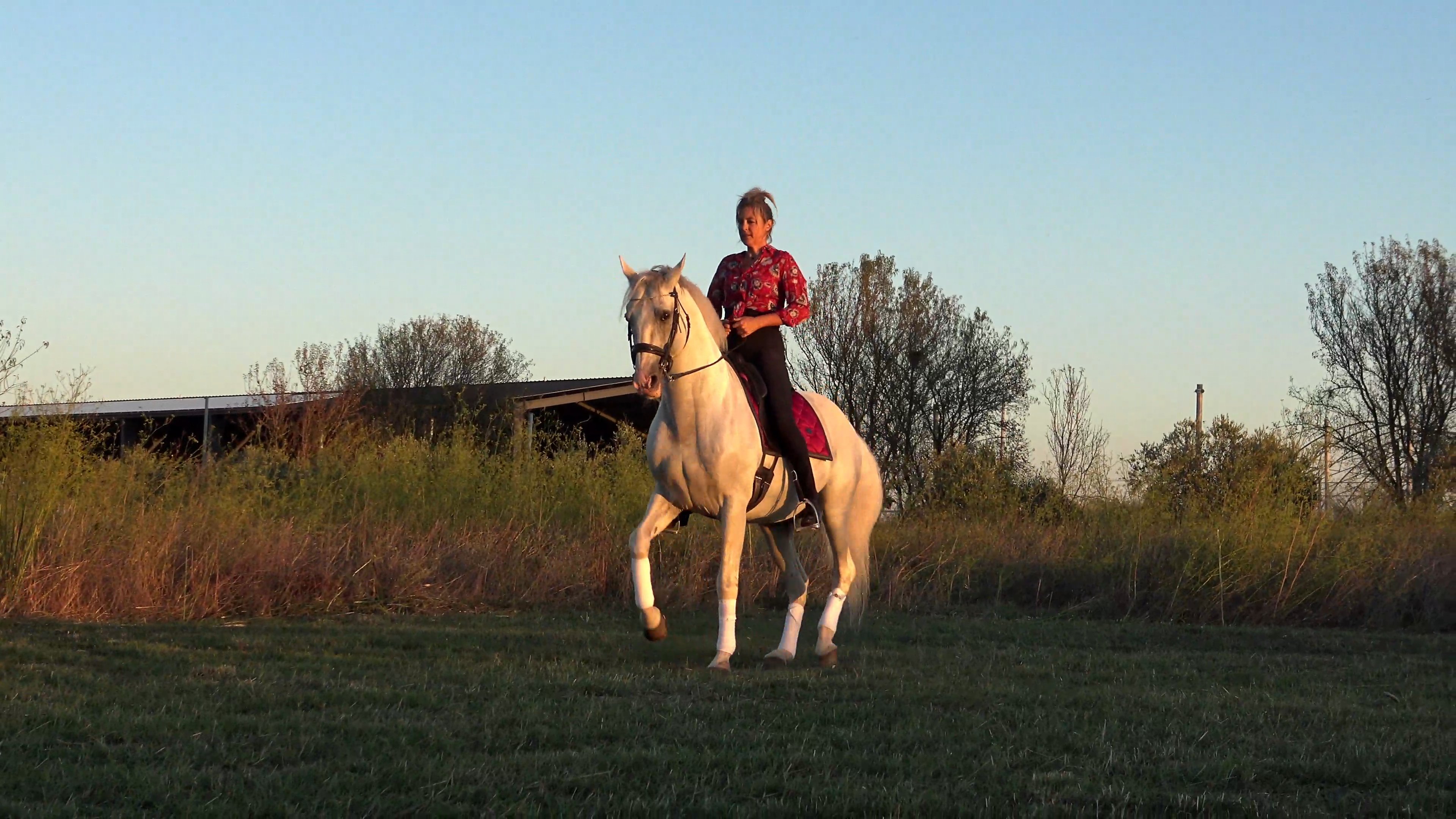 Jenny - LeAnn Rimes - Cant Fight The Moonlight 