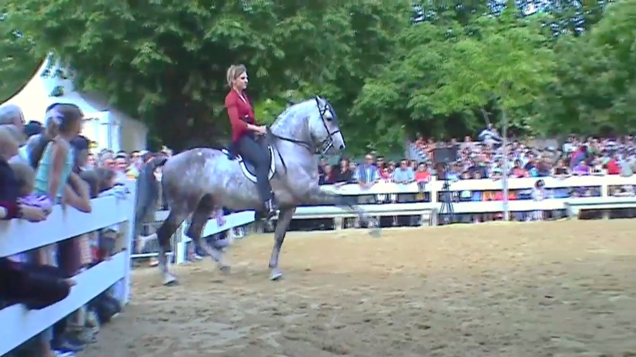 Jenny - Sirtaki Féria 2003